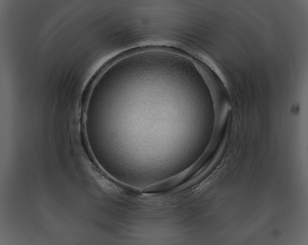 X0000091681124200708231410