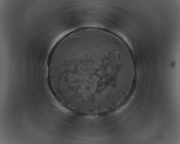 X0000091681125200708231410