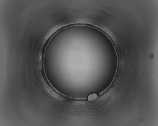 X0000091681126200708231410