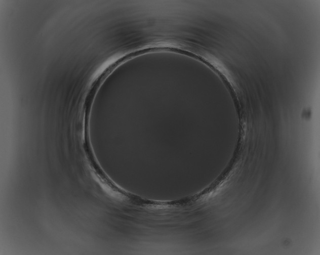 X0000091681127200708231410