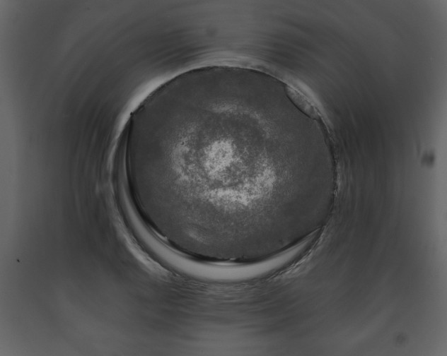 X0000091681128200708231410