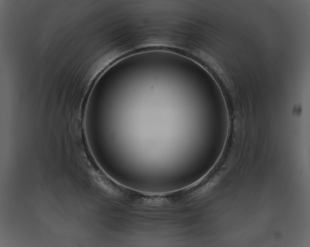 X0000091681129200708231410