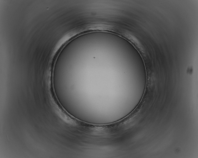 X0000091681130200708231410