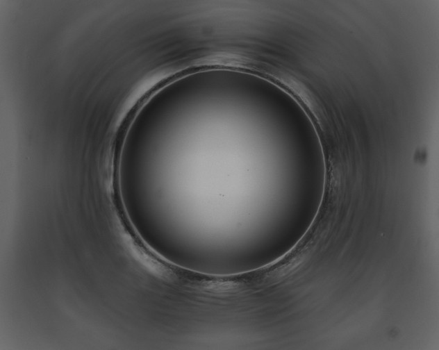 X0000091681131200708231410