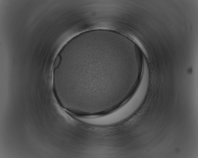 X0000091681132200708231410