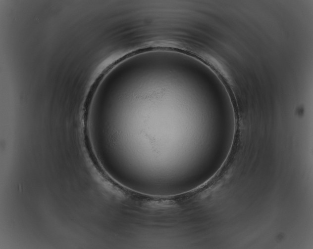X0000091681133200708231410