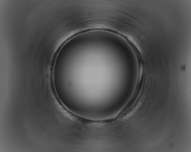 X0000091681134200708231410