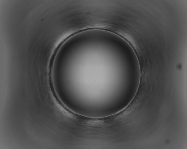 X0000091681135200708231410