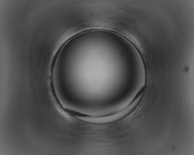 X0000091681136200708231410