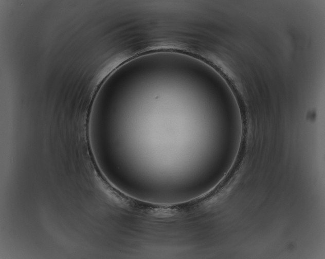 X0000091681137200708231410