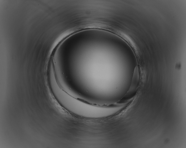 X0000091681138200708231410