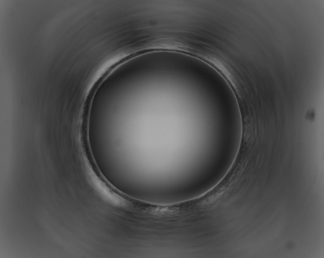 X0000091681139200708231410