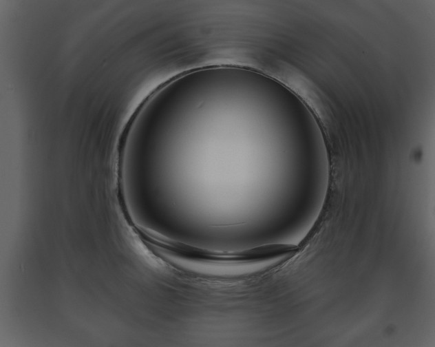 X0000091681140200708231410