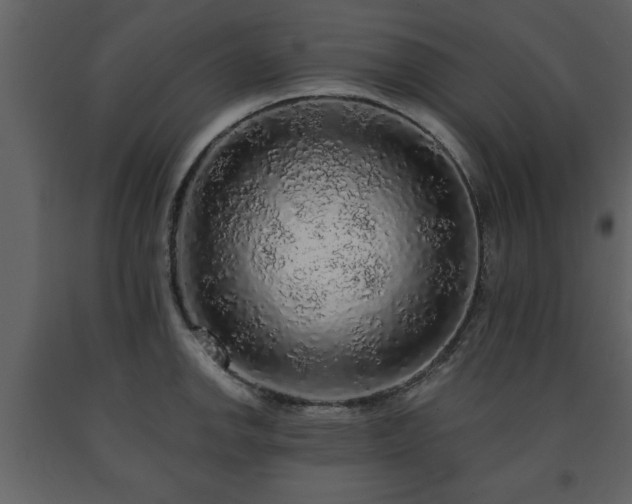 X0000091681142200708231411