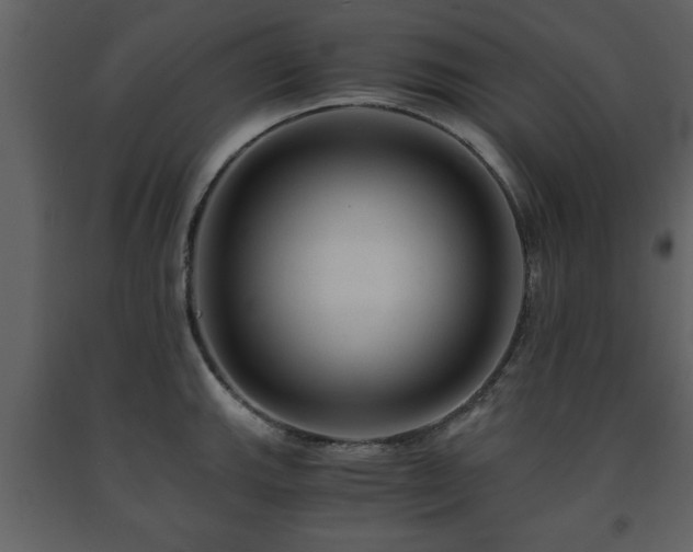 X0000091681143200708231411