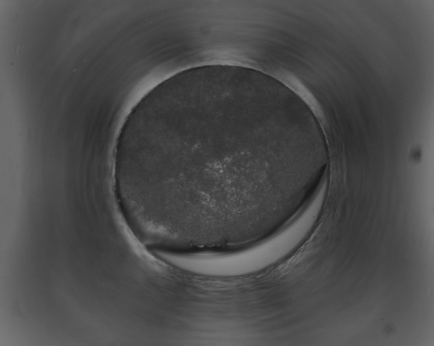 X0000091681144200708231411