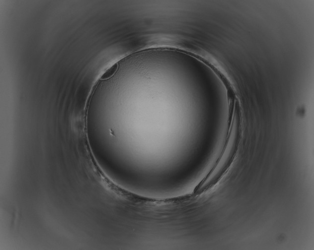 X0000091681145200708231411