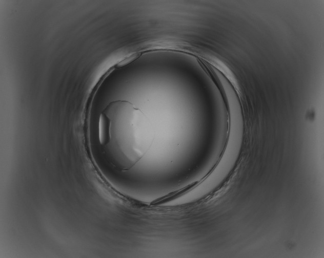 X0000091681146200708231411