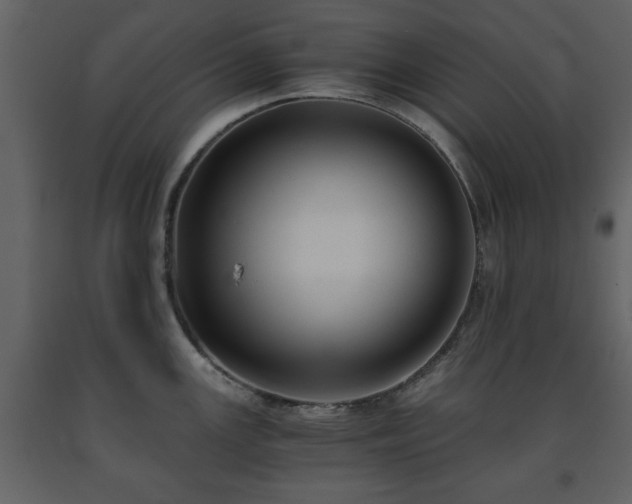 X0000091681147200708231411