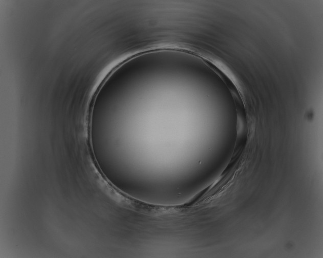 X0000091681148200708231411
