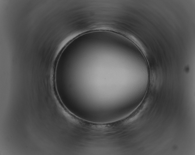 X0000091681149200708231411