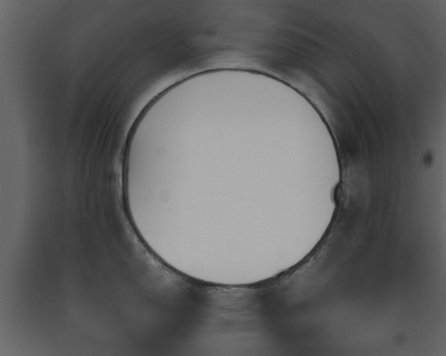 X0000091681150200708231411