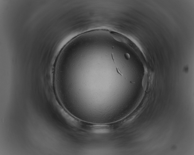 X0000091681151200708231411