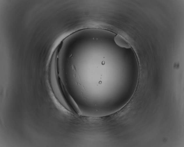 X0000091681152200708231411