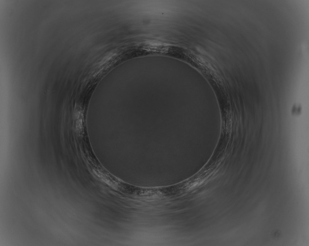 X0000091681154200708231410