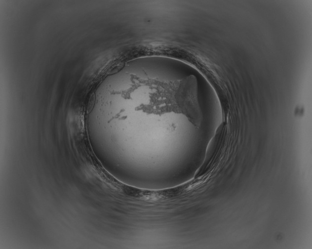 X0000091681155200708231410