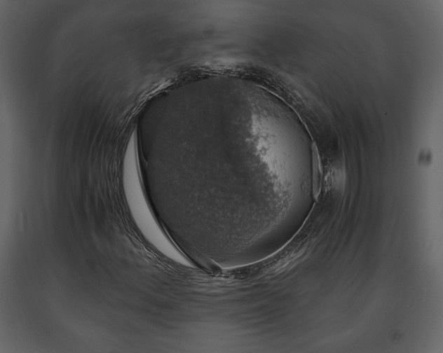 X0000091681156200708231410