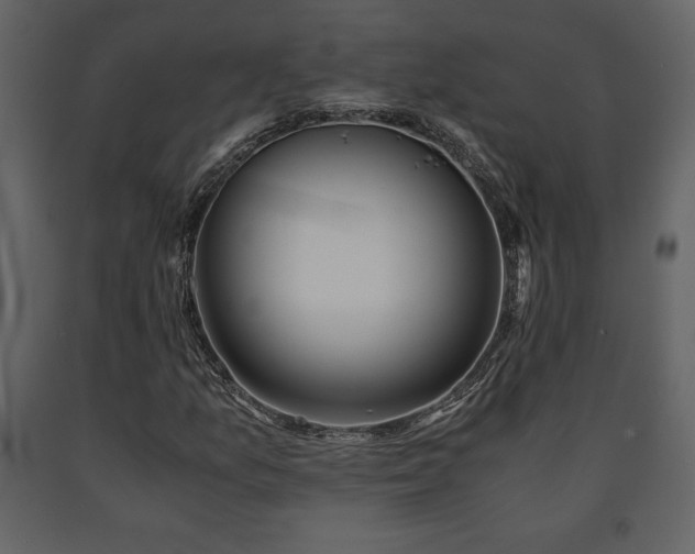 X0000091681157200708231410
