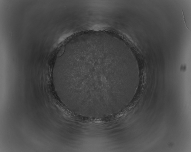 X0000091681158200708231410