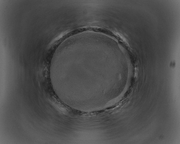 X0000091681159200708231410