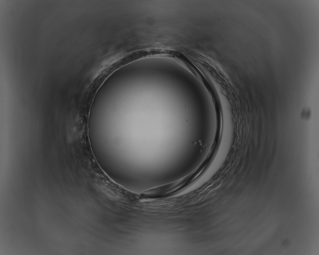 X0000091681160200708231410