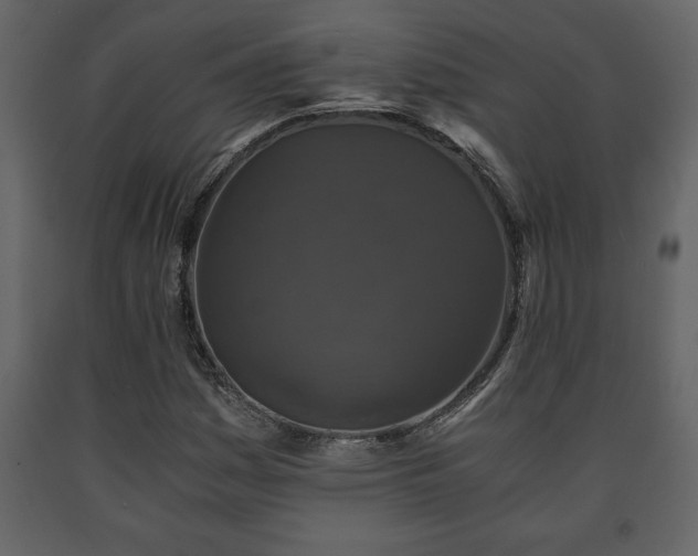 X0000091681161200708231410