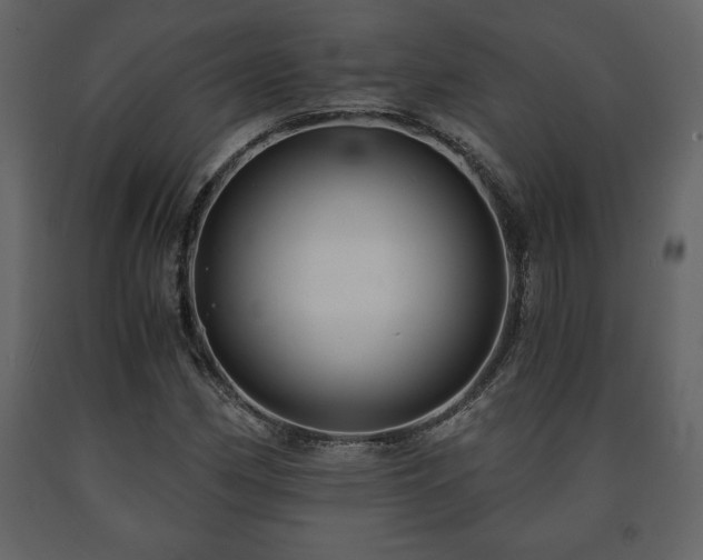 X0000091681162200708231410