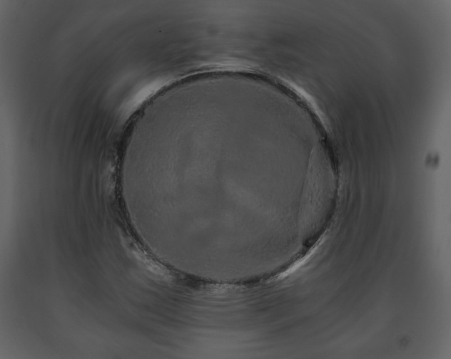 X0000091681163200708231410