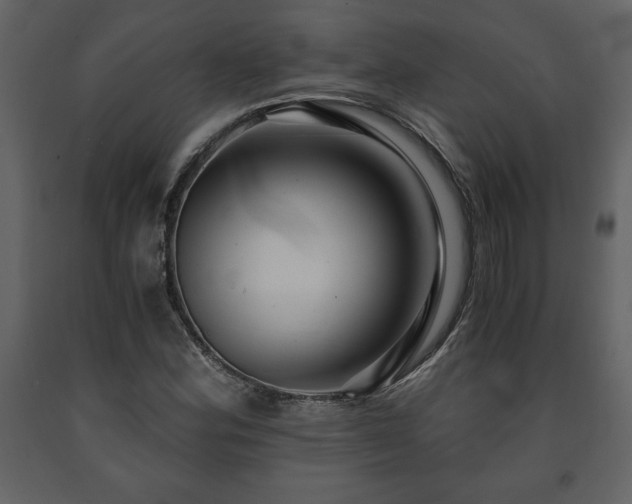 X0000091681164200708231410