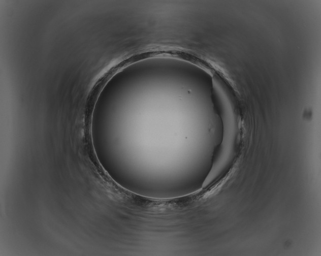 X0000091681165200708231410