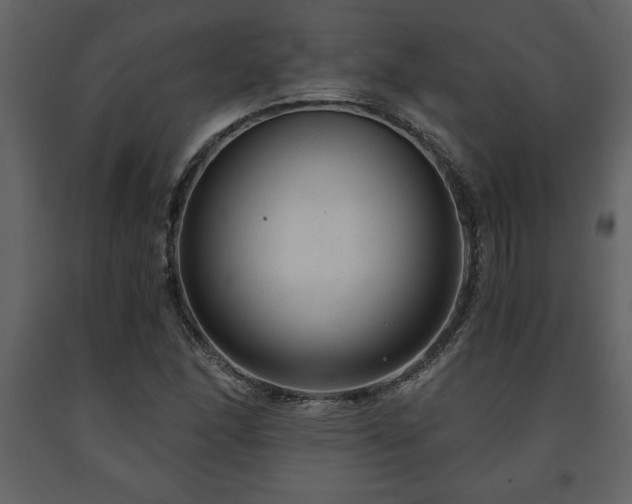 X0000091681166200708231410