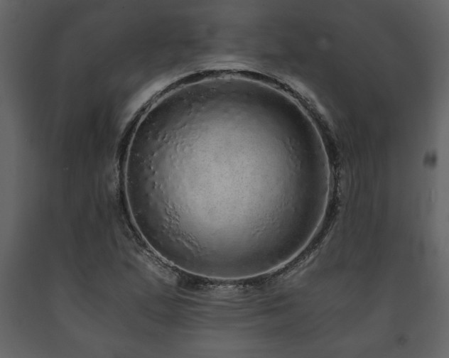 X0000091681167200708231410