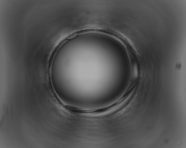 X0000091681168200708231410
