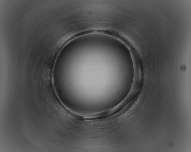 X0000091681169200708231410
