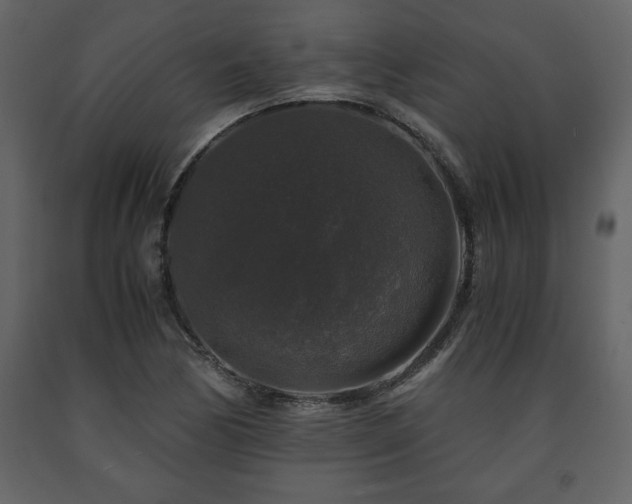 X0000091681170200708231410