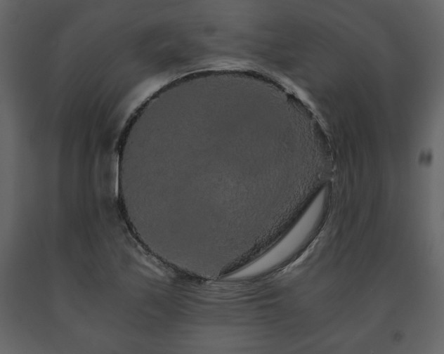 X0000091681171200708231410