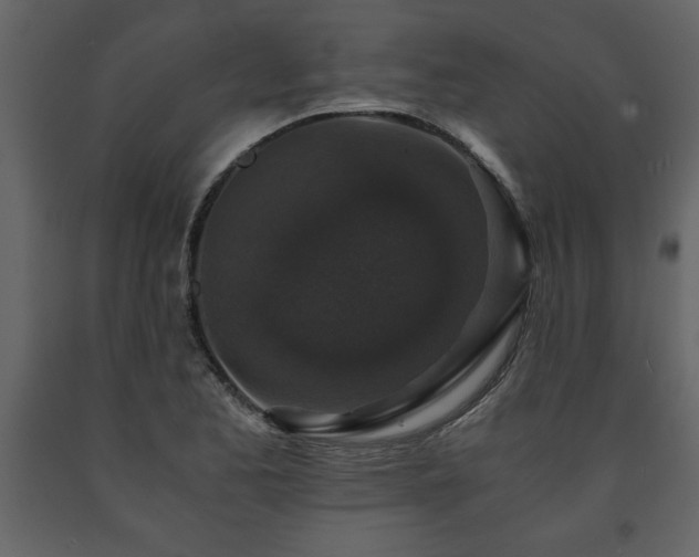 X0000091681173200708231410