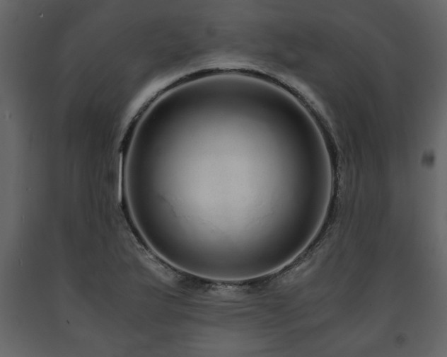 X0000091681175200708231410