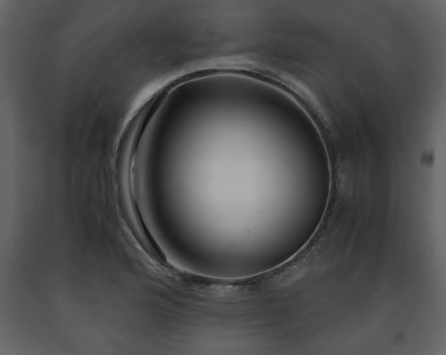 X0000091681176200708231410