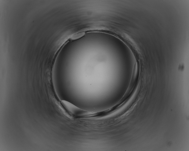 X0000091681177200708231410